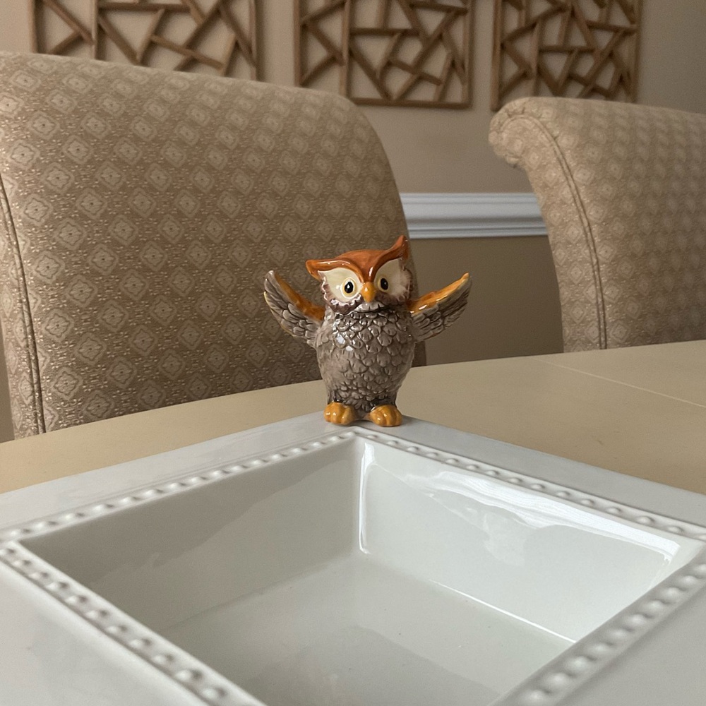 Adorably Autumn Owl Platter Decorations - Open Wings 🦉
